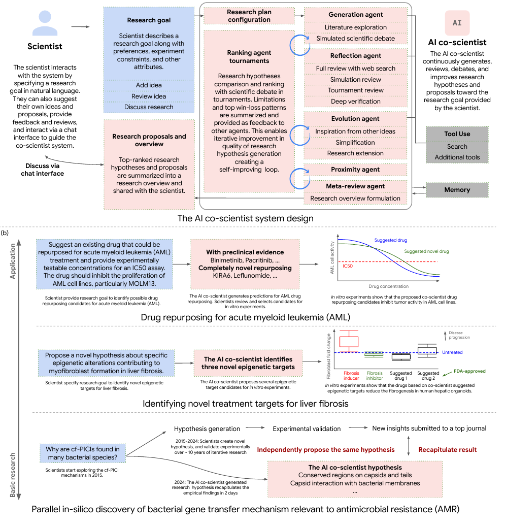 Google AI co-scientist 总览:(a) 系统设计——科学家用自然语言给出研究目标,经 Research plan configuration 解析后,Supervisor 调度 Generation / Reflection / Ranking 锦标赛 / Evolution / Proximity / Meta-review 六个专职 agent,配合 web 搜索等工具与持久记忆,形成自我改进循环;(b) 三项端到端生物医药验证——AML 药物重定位、肝纤维化新表观靶点、细菌基因转移机制(AMR),均由独立湿实验外部验证