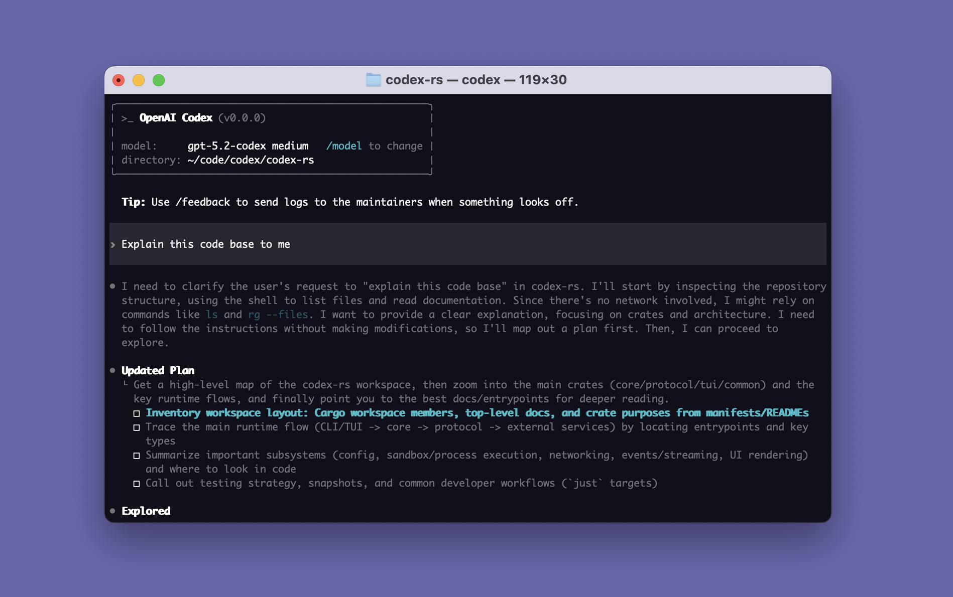 Codex CLI 终端交互界面